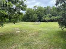 2988 COUNTY RD 44 | Havelock-Belmont-Methuen Ontario | Slide Image Thirty