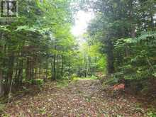 N/A CROSS COUNTRY ROAD | Bancroft Ontario | Slide Image Fifteen