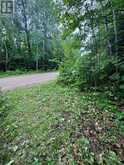 N/A CROSS COUNTRY ROAD | Bancroft Ontario | Slide Image Seven