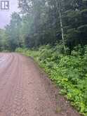 N/A CROSS COUNTRY ROAD | Bancroft Ontario | Slide Image Eleven
