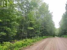 N/A CROSS COUNTRY ROAD | Bancroft Ontario | Slide Image Sixteen