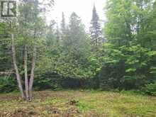 N/A CROSS COUNTRY ROAD | Bancroft Ontario | Slide Image Nine