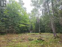 N/A CROSS COUNTRY ROAD | Bancroft Ontario | Slide Image Three