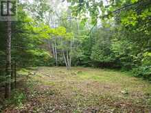 N/A CROSS COUNTRY ROAD | Bancroft Ontario | Slide Image Eight