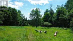 161 & 262 COLBOURNE ROAD | Bancroft Ontario | Slide Image Thirty-eight