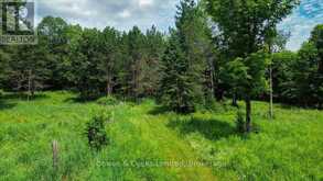 161 & 262 COLBOURNE ROAD | Bancroft Ontario | Slide Image Thirty-nine