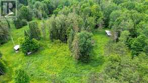 161 & 262 COLBOURNE ROAD | Bancroft Ontario | Slide Image Forty-two