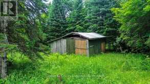 161 & 262 COLBOURNE ROAD | Bancroft Ontario | Slide Image Forty-five