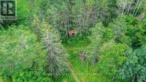 161 & 262 COLBOURNE ROAD | Bancroft Ontario | Slide Image Forty-seven
