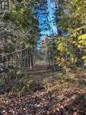 1075 ENRIGHT ROAD | Tyendinaga Ontario | Slide Image Forty-seven