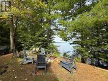 551 RENWICK ROAD | Apsley Ontario | Slide Image Thirty-two