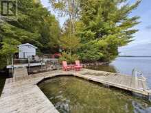 551 RENWICK ROAD | Apsley Ontario | Slide Image Six