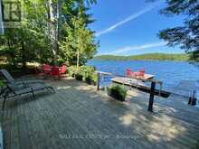 551 RENWICK ROAD | Apsley Ontario | Slide Image Eight
