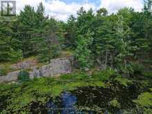 1 WAO KASSHABOG LAKE | North Kawartha Ontario | Slide Image Thirteen