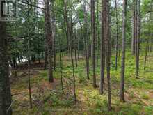 1 WAO KASSHABOG LAKE | North Kawartha Ontario | Slide Image Twenty-six