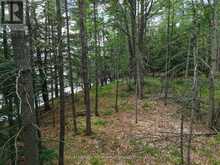 3 WAO KASSHABOG LAKE | North Kawartha Ontario | Slide Image Twenty-seven