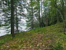 3 WAO KASSHABOG LAKE | North Kawartha Ontario | Slide Image Thirty