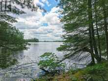 3 WAO KASSHABOG LAKE | North Kawartha Ontario | Slide Image Thirty-one