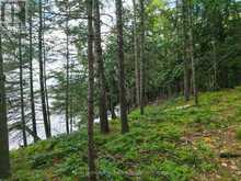 3 WAO KASSHABOG LAKE | North Kawartha Ontario | Slide Image Thirty-two