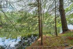 3 WAO KASSHABOG LAKE | North Kawartha Ontario | Slide Image Six