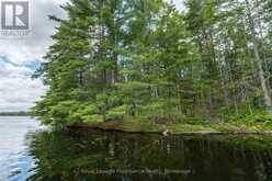 3 WAO KASSHABOG LAKE | North Kawartha Ontario | Slide Image Eight