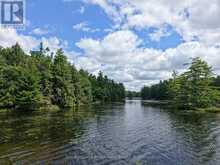 2 WAO KASSHABOG LAKE | North Kawartha Ontario | Slide Image Sixteen