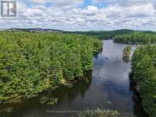 2 WAO KASSHABOG LAKE | North Kawartha Ontario | Slide Image Twenty-two