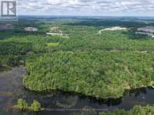 2 WAO KASSHABOG LAKE | North Kawartha Ontario | Slide Image Twenty-four