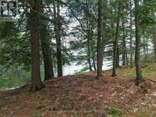 2 WAO KASSHABOG LAKE | North Kawartha Ontario | Slide Image Twenty-nine