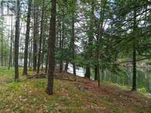 2 WAO KASSHABOG LAKE | North Kawartha Ontario | Slide Image Thirty-three