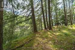 2 WAO KASSHABOG LAKE | North Kawartha Ontario | Slide Image Four