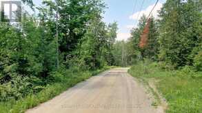 0 OLD HASTINGS ROAD | Bancroft Ontario | Slide Image One