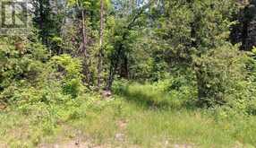 0 OLD HASTINGS ROAD | Bancroft Ontario | Slide Image Two