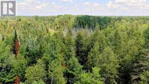 0 OLD HASTINGS ROAD | Bancroft Ontario | Slide Image Three
