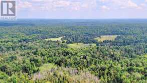0 OLD HASTINGS ROAD | Bancroft Ontario | Slide Image Five