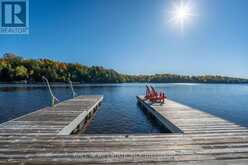 55 FIRE ROUTE 209 | North Kawartha Ontario | Slide Image Eleven