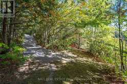 55 FIRE ROUTE 209 | North Kawartha Ontario | Slide Image Five