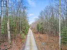 0 GELERT ROAD | Minden Hills Ontario | Slide Image Twenty-one