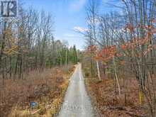0 GELERT ROAD | Minden Hills Ontario | Slide Image Twenty-two