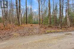 0 GELERT ROAD | Minden Hills Ontario | Slide Image Three