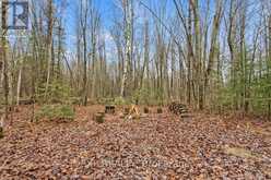 0 GELERT ROAD | Minden Hills Ontario | Slide Image Nine