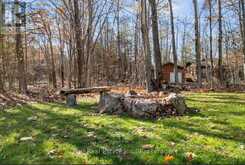 686 COON LAKE ROAD | North Kawartha Ontario | Slide Image Thirty-three