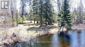 161 MCFADDEN ROAD | Apsley Ontario | Slide Image Seventeen