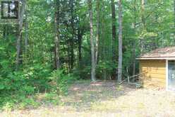 47 MCKEE AVENUE | North Kawartha Ontario | Slide Image Ten