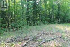 47 MCKEE AVENUE | North Kawartha Ontario | Slide Image Nineteen