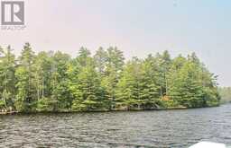 47 MCKEE AVENUE | North Kawartha Ontario | Slide Image One