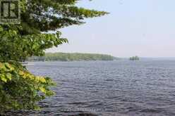47 MCKEE AVENUE | North Kawartha Ontario | Slide Image Thirty