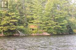 47 MCKEE AVENUE | North Kawartha Ontario | Slide Image Four