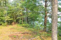 47 MCKEE AVENUE | North Kawartha Ontario | Slide Image Six