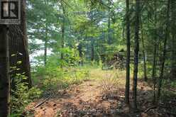 47 MCKEE AVENUE | North Kawartha Ontario | Slide Image Nine